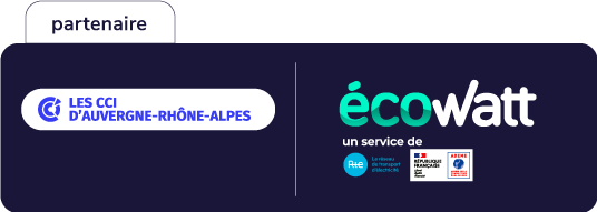 Les CCI d'Auvergne-Rhône-Alpes partenaires d'Ecowatt