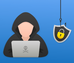Article 2 cyber