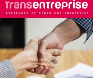 Transentreprise