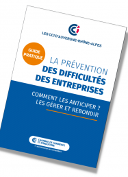 guide pratique prévention des difficultés des entreprises CCI